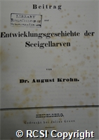 'Beitrag zur Entwicklungsgeschichte der Seeigellarven'