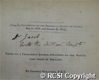 'Notes on a Cetaceous animal stranded on the North East coast of Ireland'