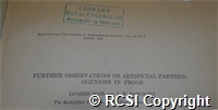 'Further observations on artificial parthenogenesis in frogs'